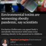 Environmental Toxins and Obesity